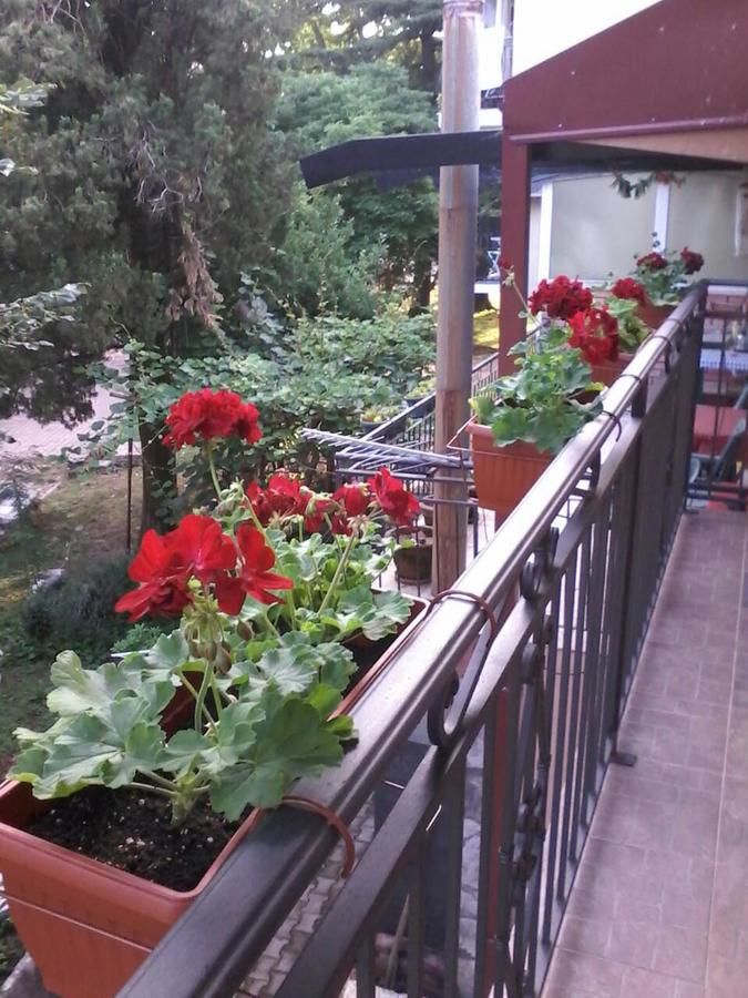 Апартаменты Apartments Olga Вирпазар