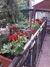 Апартаменты Apartments Olga Вирпазар-2