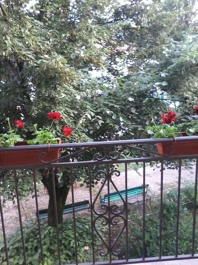 Апартаменты Apartments Olga Вирпазар-4