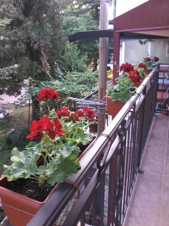Апартаменты Apartments Olga Вирпазар-5